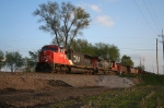 CN 5608